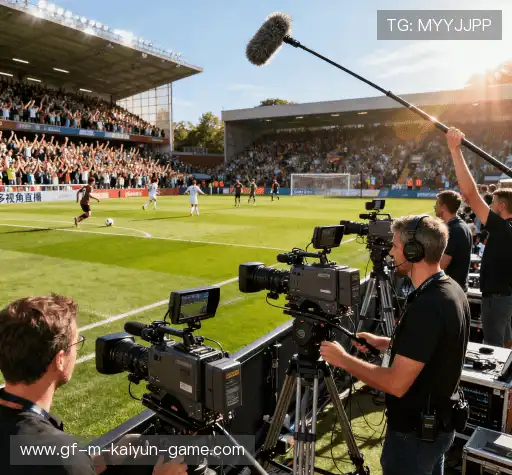 行业领先的理由